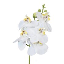 Umelá Rastlina Phalaenopsis, V:27cm,biela
